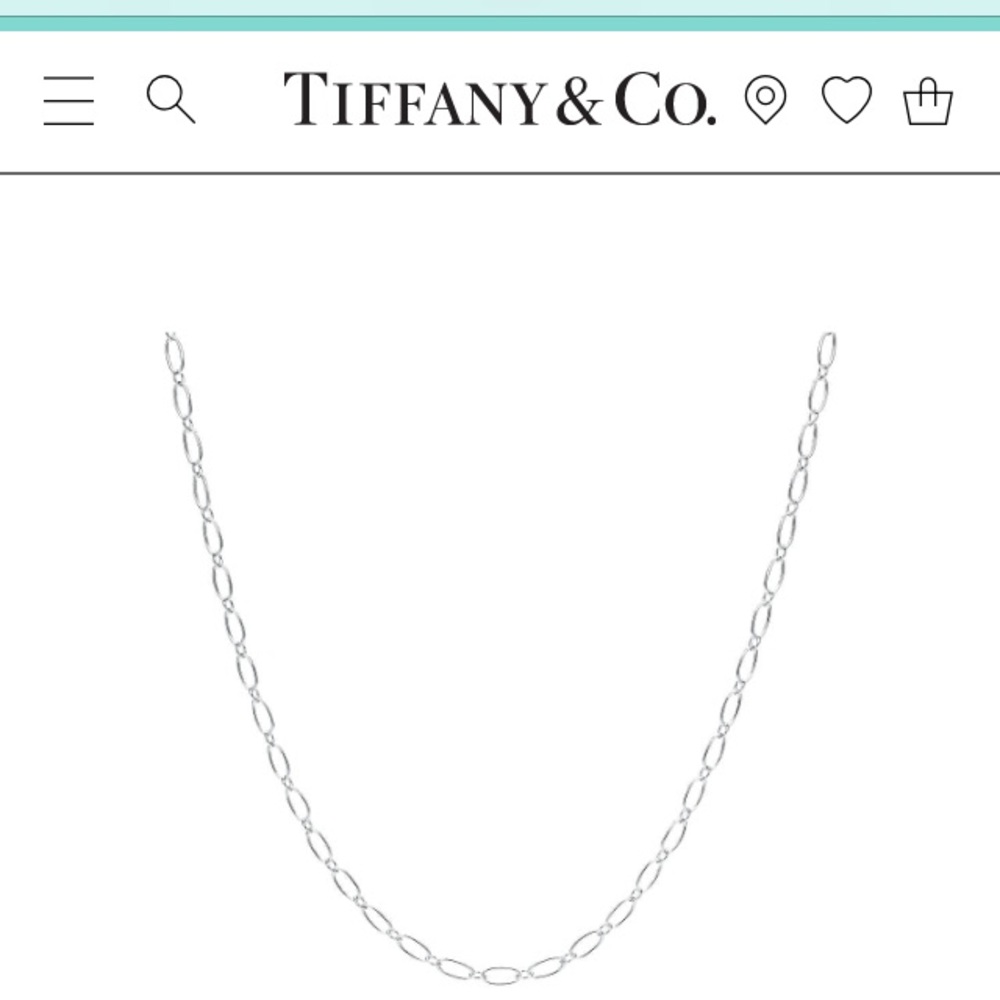 Tiffany & Co. silver oval link chain.